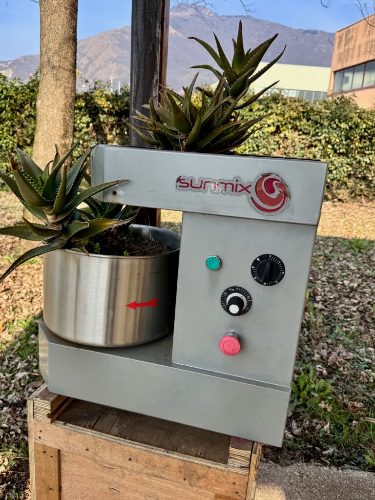 Alte Sunmix als Blumentopf